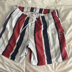 Holistic swimming shorts